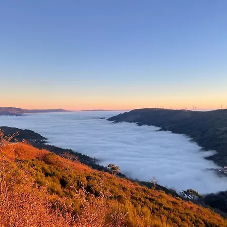 Dom wakacyjny Douro Garden *