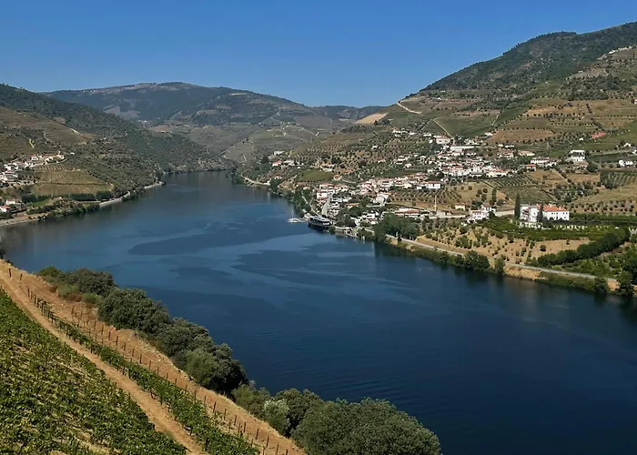 Dom wakacyjny Douro Garden Resende