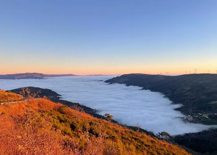 Dom wakacyjny Douro Garden *